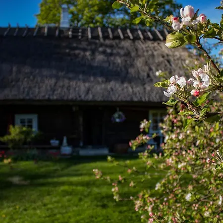 Kuusetuka Tourism Farm Ferienhaus Pahkla
