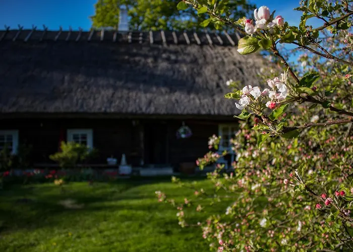 Kuusetuka Tourism Farm Dom wakacyjny Pahkla