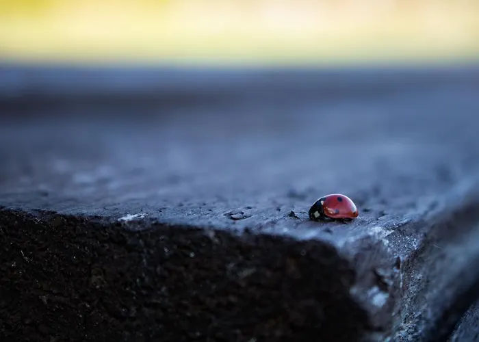 Kuusetuka Tourism Farm Dom wakacyjny Pahkla